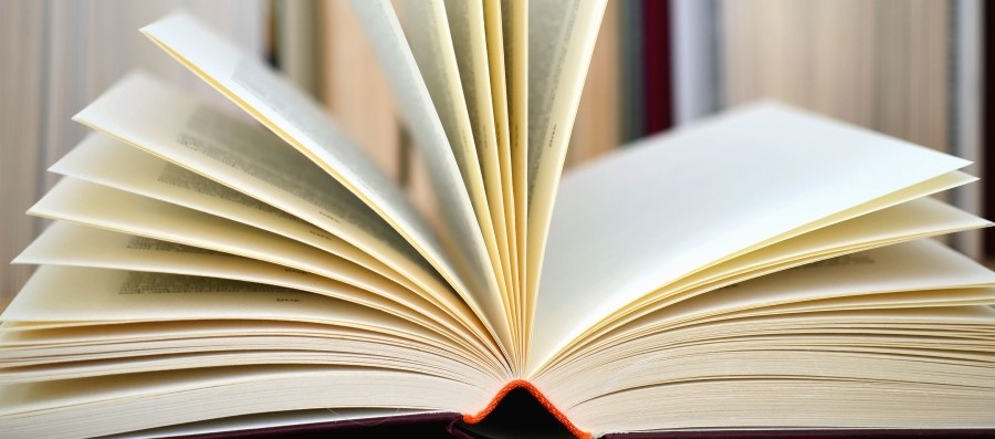 Consulta los detalles de cada asignatura que estudiarás en este programa